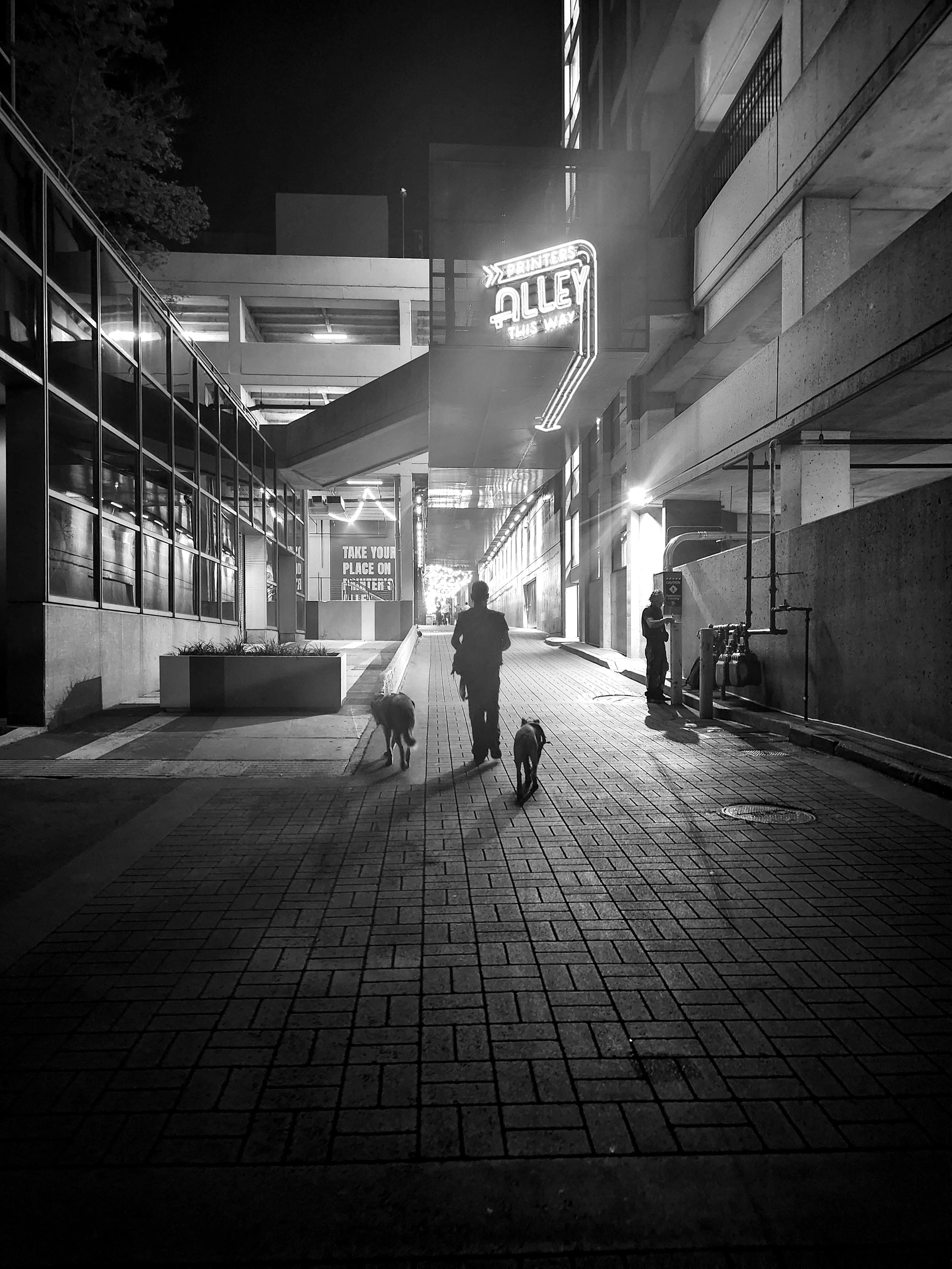 A handler walking dogs at night in a busy public area
